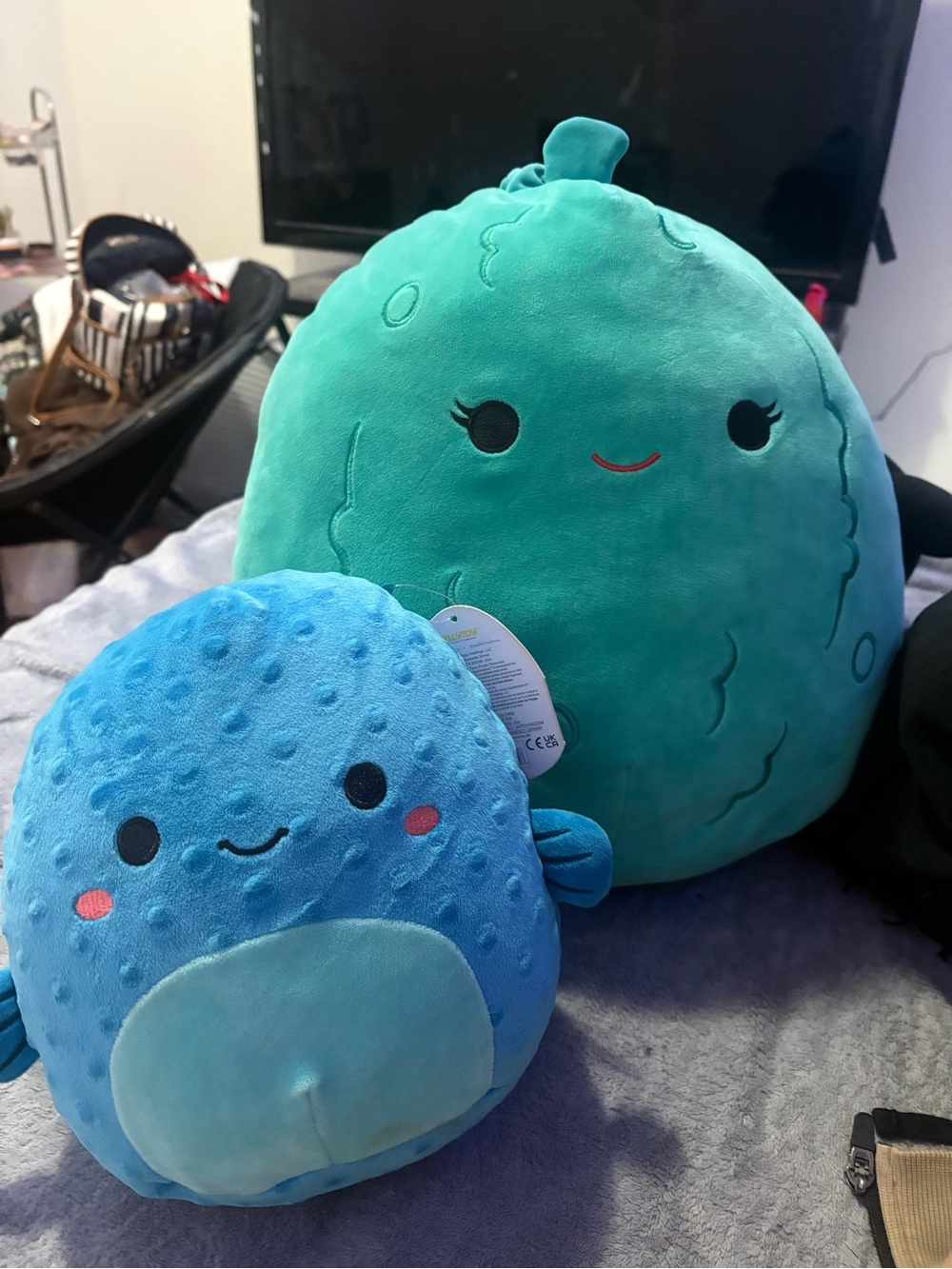Squishmallows Blue and Teal Fish Plush Duo
